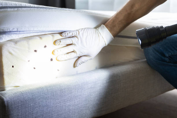 Best Pest Inspection Near Me  in Marengo, IL