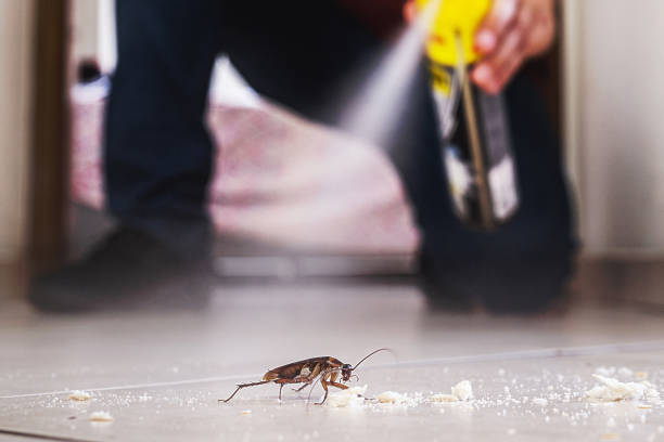Best Emergency Pest Control  in Marengo, IL