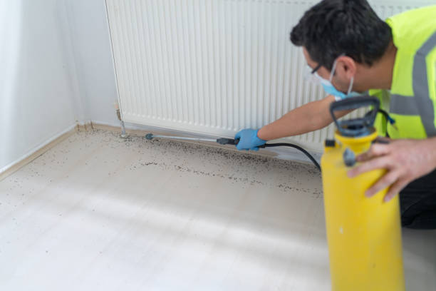 Best Affordable Pest Control Services  in Marengo, IL